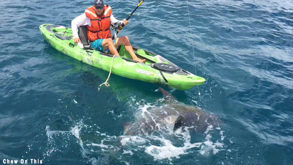 WATCH Shark Flips Kayak Dragging Man Underwater Breaking911