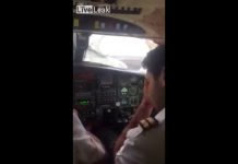 Vulture collides with plane, the pilot was injured