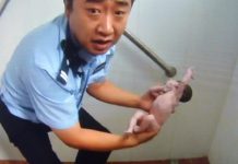 Beijing baby toilet video