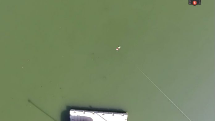 Drone fish