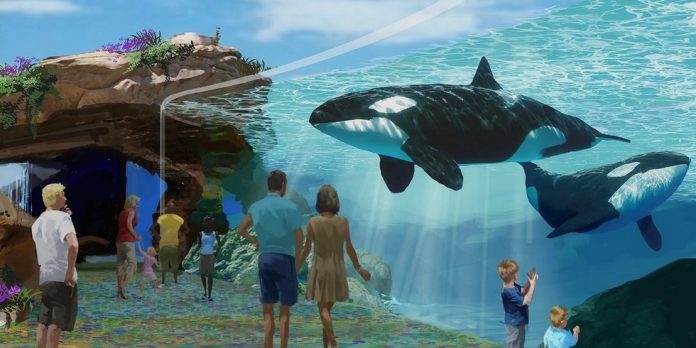 Officials today approved a $100 Million plan by SeaWorld San Diego to double the size of its killer whale tanks, but banned any future breeding of the whales. Protesters wanted the captive whales released into the ocean.