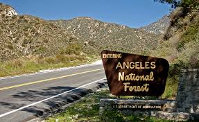 CALIFORNIA -- Los Angeles County Sheriff’s Department Homicide detectives continue to investigate the circumstances surrounding the discovery of human bones at Glendora Ridge Road Mile Marker 10.5, Angeles National Forest.