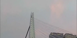 ARNING: Do not ever attempt the stunt performed in this video! See what happens when a skateboarding daredevil attempts to ride down the Erasmus Bridge in Rotterdam, Netherlands. What was this guy thinking?!