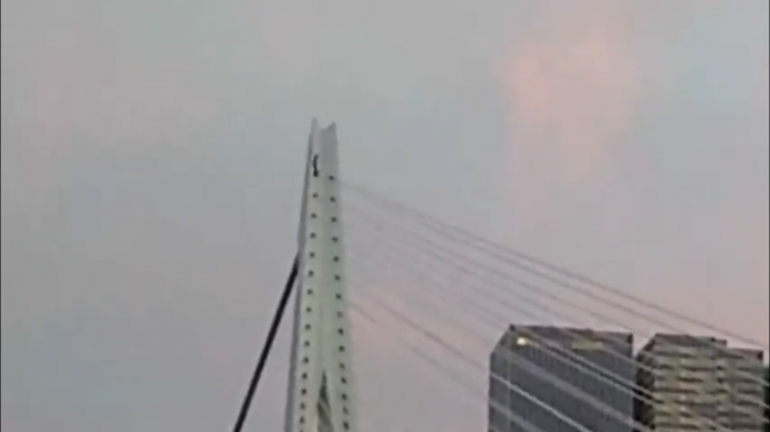 ARNING: Do not ever attempt the stunt performed in this video! See what happens when a skateboarding daredevil attempts to ride down the Erasmus Bridge in Rotterdam, Netherlands. What was this guy thinking?!