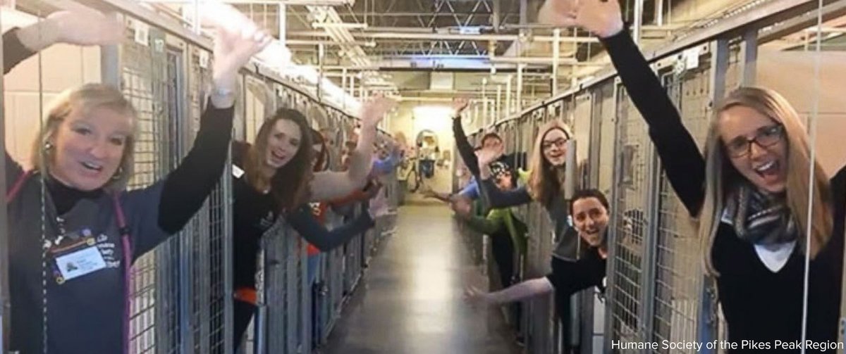[PHOTO: Animal shelter staff's celebrates inside empty cages after all its dogs are adopted in time for Christmas]